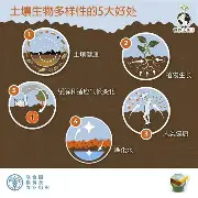 最新：布克俱乐部赛事进球助(布克集锦高清50佳球)|米兰体育APP